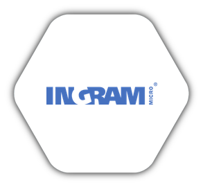 Fabrizio Brancati - Ingram Micro Showcase - Website & CMS - Logo